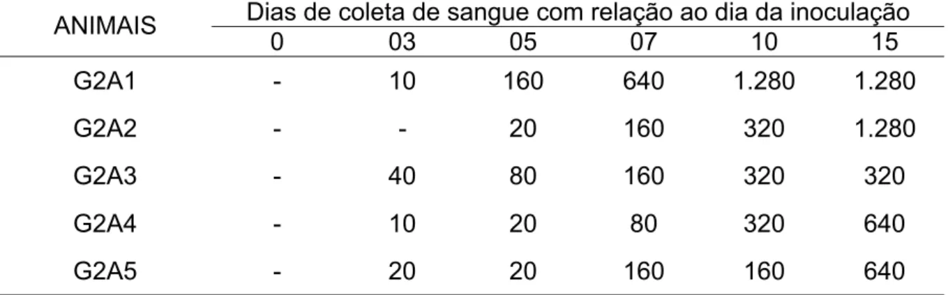 Tabela 2. Títulos de anticorpos antileptospira sorovar Canicola de cinco cães  infectados experimentalmente com a cepa LO4 de Leptospira interrogans sorovar Canicola durante seis avaliações num período de 15 dias,  representando o grupo experimental dois (