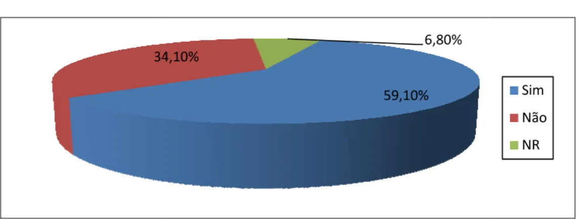 Gráfico 4 – V