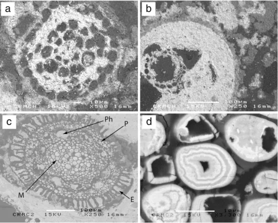 Fig. 4. X-ray diffractograms of the samples from the lower duricrust (the abbreviations are given in Table 2).