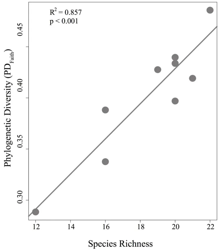 Fig 7. Relationship between phylogenetic diversity (PD) and species richness. Dots represent each plateau.