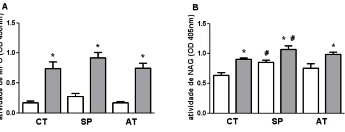 Figura  6.  Atividade  de  MPO  e  NAG  em  homogeneizados  de  pulmão  de  camundongos  BALB/c é aumentada com infecção por S