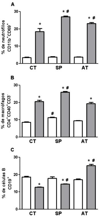 Figura 9. Porcentagem de neutrófilos, macrófagos e células B nos pulmões de camundongos  BALB/c  infectados  por  S