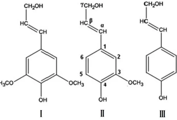 Figura 1 - Monômeros de lignina: I - Siringila, II - Guaiacila, III - p-Hidroxifenila