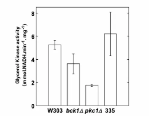 Figura 4 Atividade da enzima glicerol quinase (Gut1p). Células crescidas em meio YP glicerol 3% e sorbitol 1 M por 6 horas