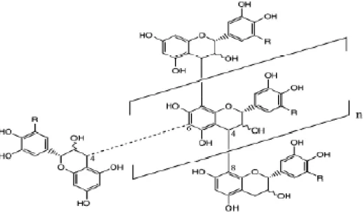 Figura 3.6.  Modelo da estrutura de taninos condensados. Se R=H ou OH essa estrutura  apresenta uma procianilina ou prodelfinidina