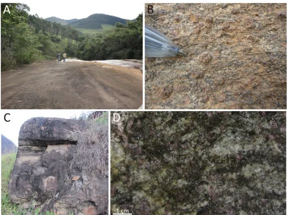 Figure 2. Field aspects of sample RD11 (A); detailed view of the rock, showing garnet crystals up to 1 cm (B); Field aspects of sample RD51  (C); detailed view of the rock, composed by quartz, biotite, plagioclase and garnet (D)