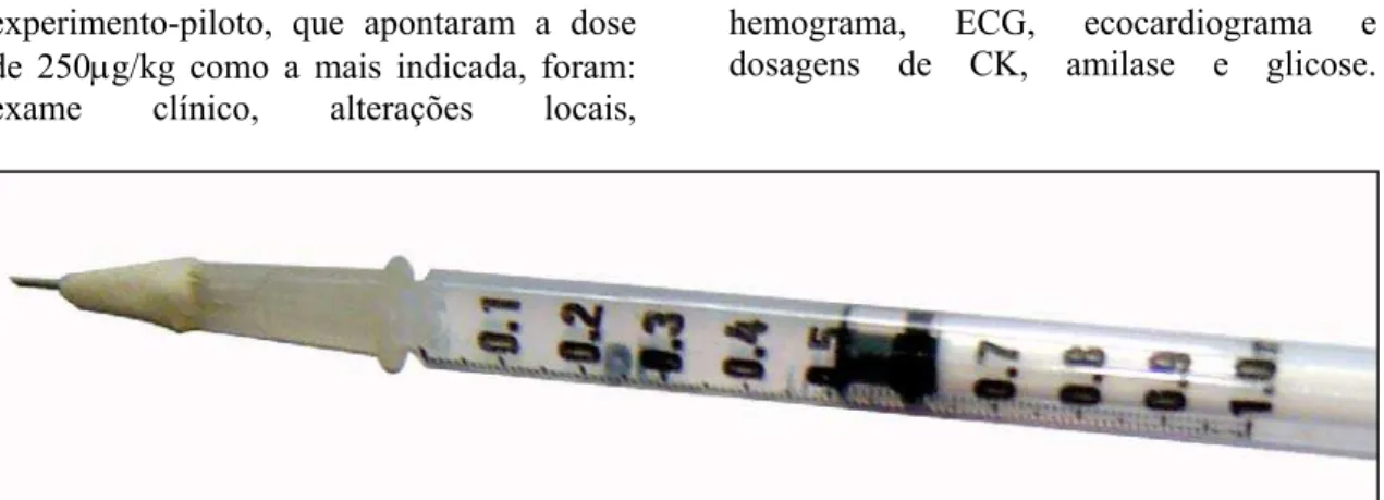 Figura 3 – Seringa de 1ml usada para a inoculação do placebo e do veneno, com dispositivo de  esparadrapo adaptado à agulha para mimetizar o aguilhão do escorpião