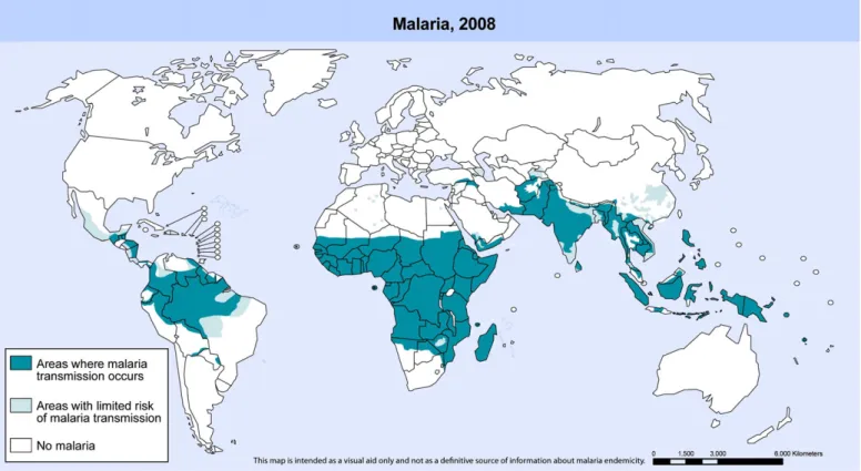 Fig. 1. Malaria-free countries and malaria-endemic countries in phases of control, pre-elimination, elimination and prevention of reintroduction at the end of 2007