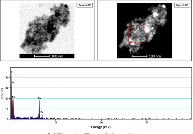 Fig. 5. TEM image (a) and EDX spectrum (b) of the magnetic hydrogel.