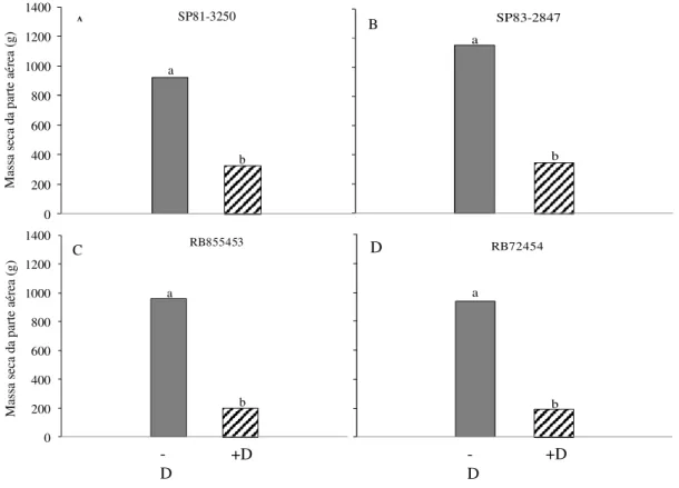 Figura  4.  Massa  de  matéria  seca  da  parte  aérea  (A,  B,  C  e  D)  em  quatro  cultivares  de  cana-de-açúcar  submetidas  a  regime  hídrico  adequado  (−D)  e  à  deficiência  hídrica  (+D)  aos  56  dias  após  o  estabelecimento dos tratamentos