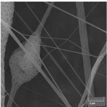 FIGURA  4.17: Microscopia  Eletrônica  de  Varredura  de fibras  de  PVC  0,1  g/mL  obtidas  por  eletrofiação com o aumento de 1 μm.