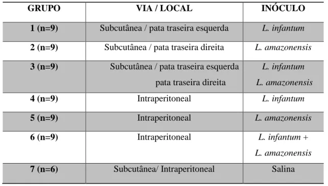 Tabela  1: Composição dos grupos  experimentais  de acordo com  via e local  da  inoculação e espécie utilizada