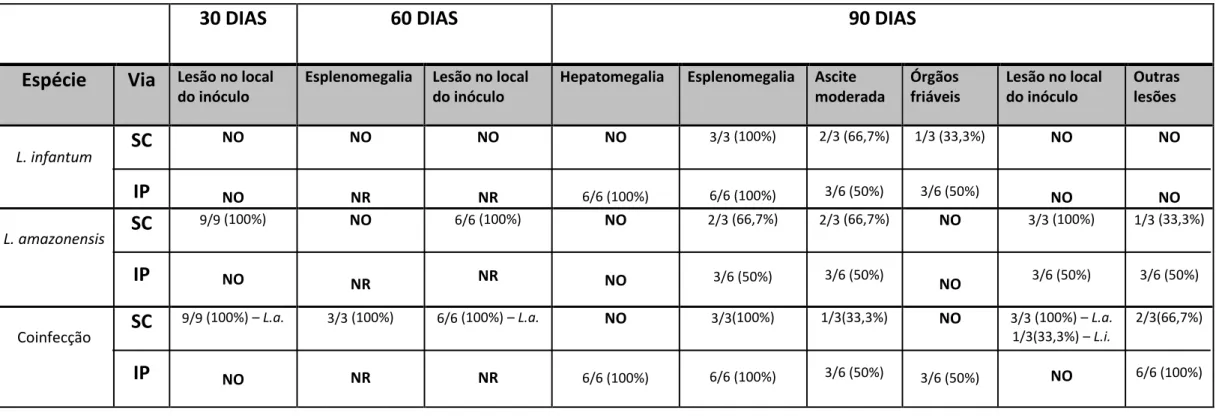 Tabela 3: Alterações clínicas observadas nos animais inoculados com L. infantum, L. amazonensis e coinfecção pela via subcutânea (SC) aos 30,  60 e 90 DAI e via intraperitoneal (IP) aos 30 e 90 DAI