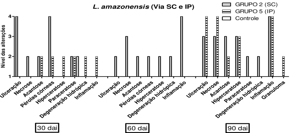 Figura 11: Alterações histopatológicas observadas na pele dos animais inoculados com L