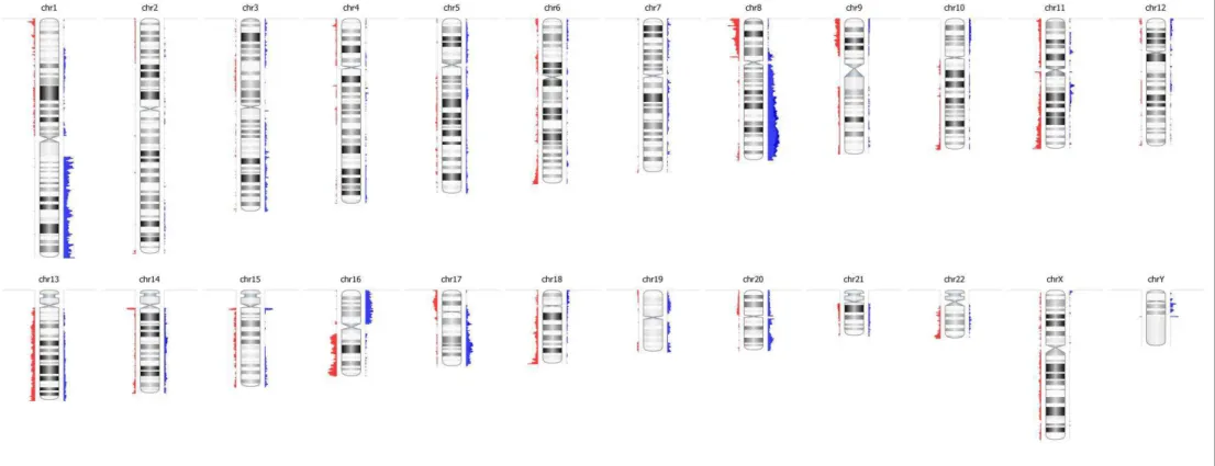 Figura 2 - Ideograma ilustrando a distribuição das alterações genômicas detectadas nos 53 CDI avaliados pela técnica de CGH-array em todo o conjunto cromossômico (chr1- (chr1-chr22)