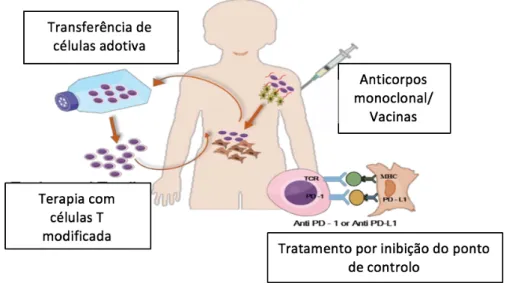 Figura 2: tipo de imunoterapia e mecanismo da morte celular programada (adaptado de Surendran et al.,  2018) 