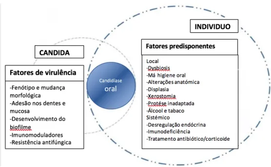 Figura 6: Fatores predisponentes do hospedeiro e fatores de virulência de Candida envolvidos na  patogênese da candidíase oral (adaptado de Quindós et al., 2019) 