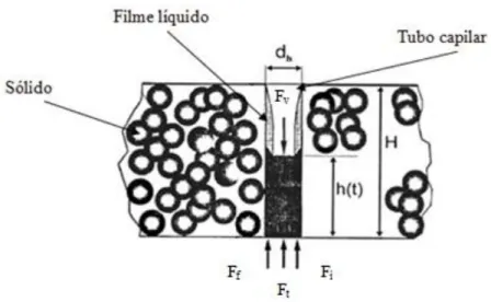 Figura 3.23: Forças atuantes na cinética de escoamento do líquido em um capilar devido à  vibração