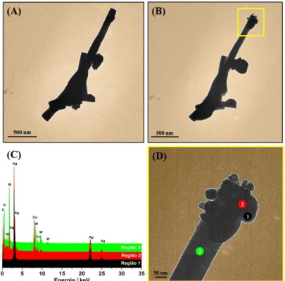 Figura 1.2 Ű Imagens de MET de Ð - 