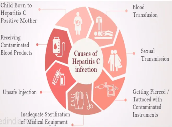 Figura 6 - Diagrama mostrando os 7 principais fatores de transmissão da hepatite C. (Tamilselvan, 2016) 
