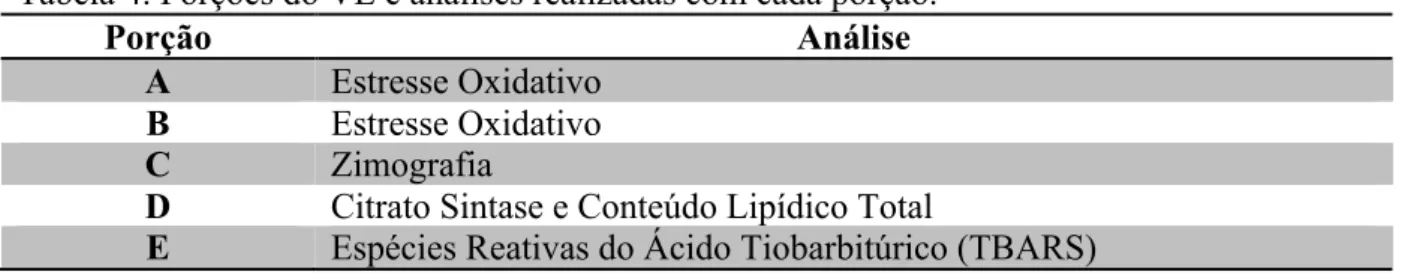 Tabela 4. Porções do VE e analises realizadas com cada porção.