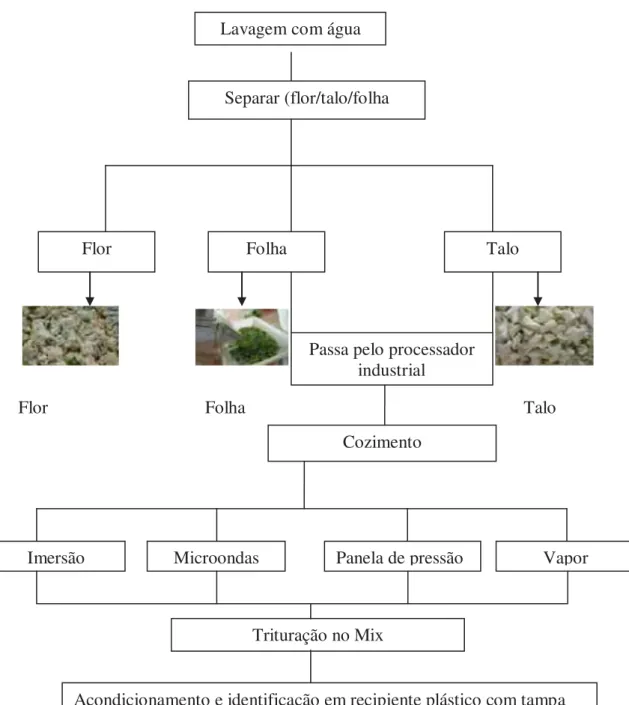 Figura 4- Fluxograma demonstrativo do processo de preparo da Couve Flor. 