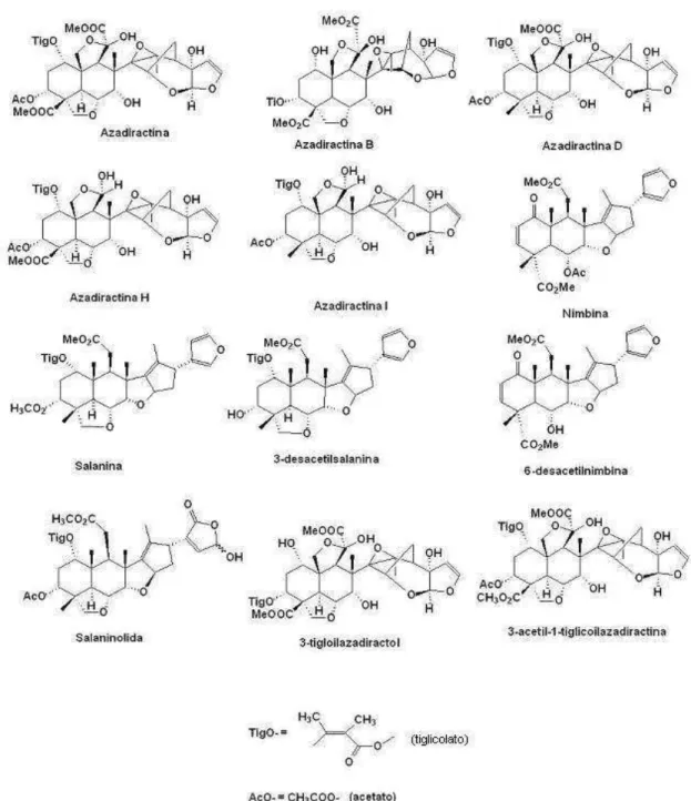 Figura 2. Estruturas químicas de diversas substâncias presentes no nim (MORGAN,  JOHNSON, 1997)