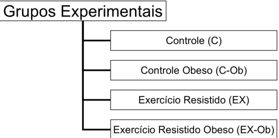 Figura 1: Desenho experimental do estudo 
