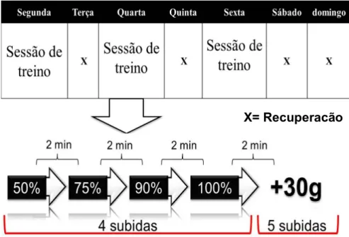 Figura 4: Protocolo do treinamento resistido 