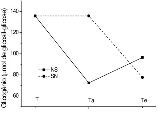 Figura 7. Teor de glicogênio muscular de matrinxã mantido nado sustentado (NS) inicial (Ti),  após 90 dias de aclimatação (Ta) versus animais não aclimatados (SN) mantidos em água sem  movimento forçado
