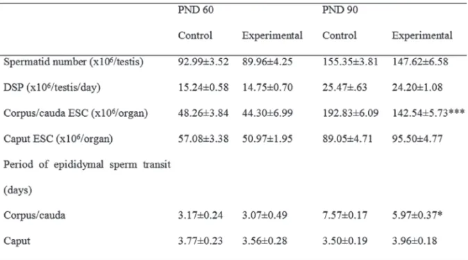 Table 3 - Sperm production and epididymal period of sperm transit of control and perinatally (GD 06-PND 07) exposed male rats at PND 60 and PND 90