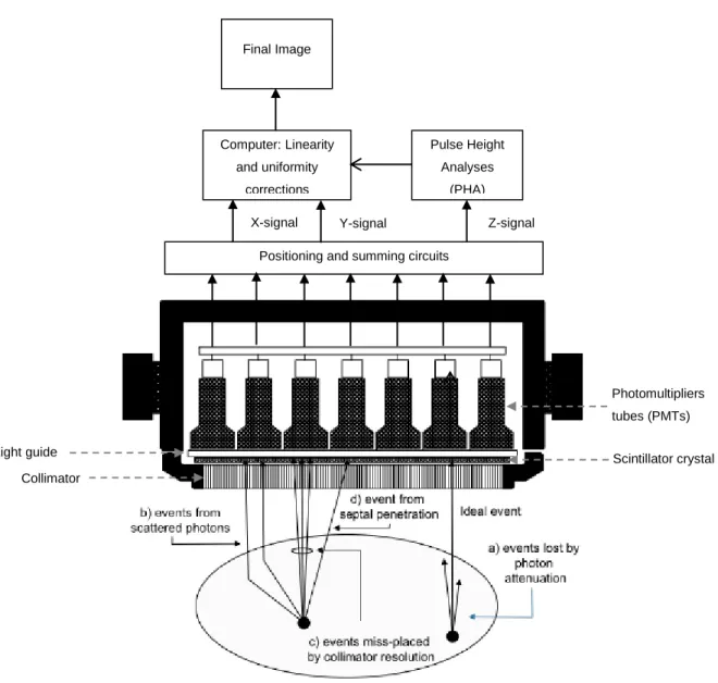 Figure 3 - Basic components of a scintillation camera (adapted from Ljungberg et al, 2016)