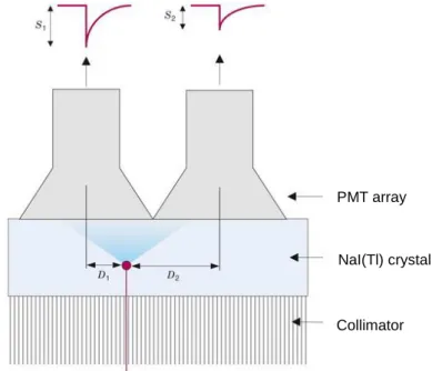 Figure 6 - Illustration of light photon sharing between PMTs. The PMT signal, S, is inversely related to the  distance of the interaction site, D, from the center of the PMT (adapted from Cherry et al, 2012)