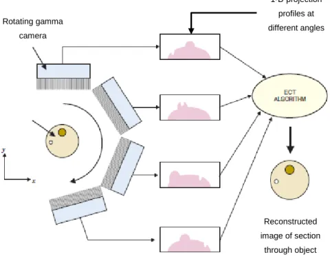 Figure 9 - Rotating the gamma camera around the object provides a set of 1-D projection profiles for a 2D  object, which are used to calculate the 2D distribution of radioactivity in the object