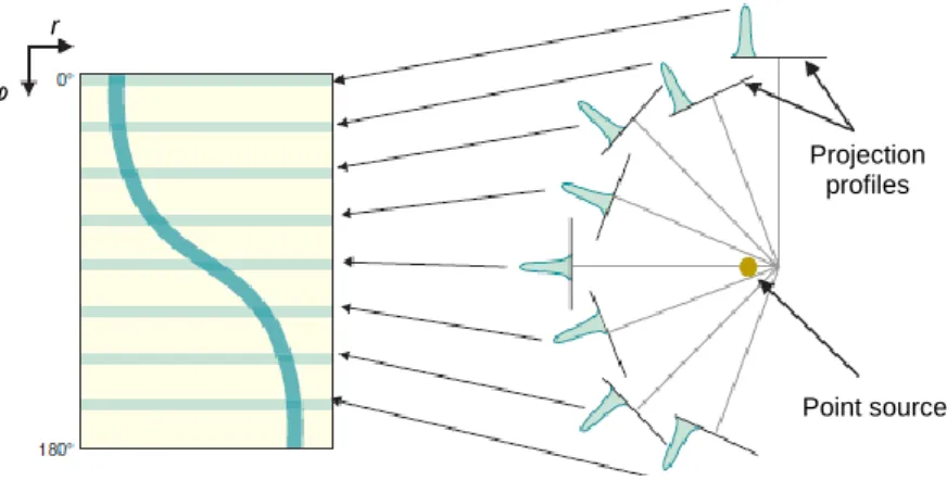 Figure 11 - Sinogram. Each row of sinogram is projection of slice at given angular position of detector (adapted  from Cherry et al, 2012)