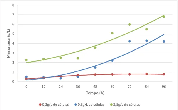 Figura  6.  Curvas  de  crescimento  (g/L)  de  M.  guilliermondii  em  meio  sintético  contendo ácido acético (10,5 g/L) como única fonte de carbono, em concentrações  iniciais de massa celular de 0,2, 0,5 e 2,5 g/L, pH 5,5, a 30 o C, 160 rpm