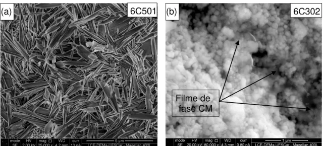 Figura 5.12: Comparação entre microestruturas (a) formada agulhas de fase de  carbonato misto e (b) filme de fase carbonato misto percolando a  fase CGD