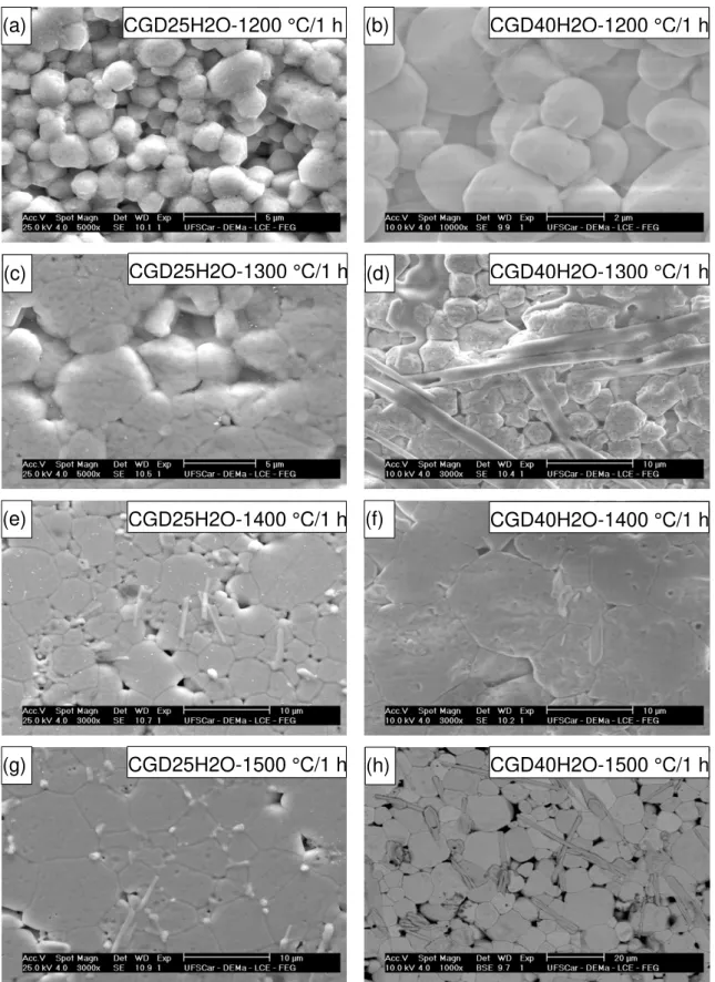 Figura 5.28: Imagens de MEV para amostras polidas e atacadas termicamente  para as composições CGD25H2O e CGD40H2O sinterizadas em  temperaturas entre 1200 a 1500 °C/1 h