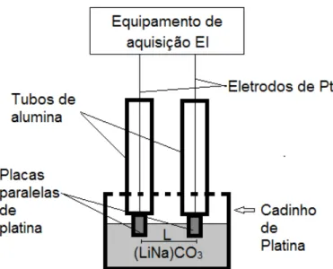 Figura 4.4: Sistema de medidas adaptado para medida de impedância para a  amostra de (LiNa)CO 3  puro fundido