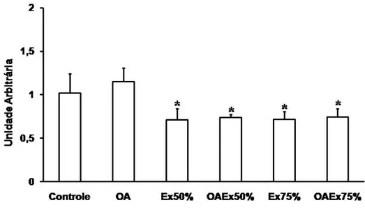 Figura 2 – Níveis de RNAm da atrogina-1 no músculo tibial anterior (TA) de  camundongos