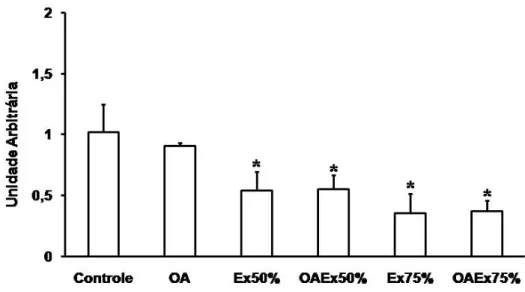 Figura 4 – Níveis de RNAm do MuRF1 no músculo tibial anterior (TA) de  camundongos. Os dados foram representados em média ± desvio padrão