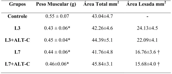Tabela 1: Peso muscular e área de secção transversal total e lesada do músculo TA   Grupos  Peso Muscular (g)  Área Total mm 2 Área Lesada mm 2 Controle  0.55 ± 0.07  43.04±4.7  - 