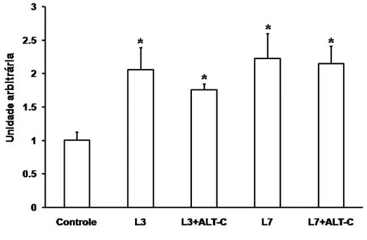 FIGURA 2. Níveis de RNAm da VEGF no músculo tibial anterior (TA) de ratos. Os  dados foram representados em média ± desvio padrão