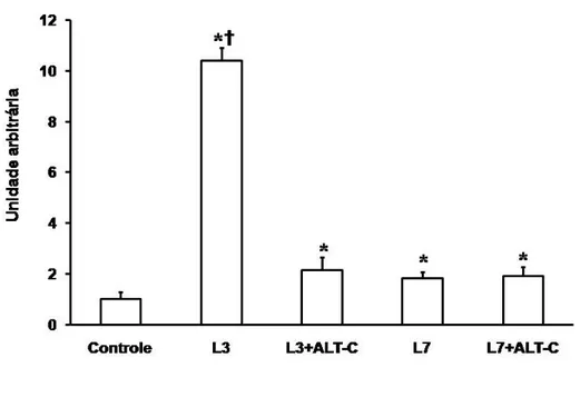 FIGURA 3. Níveis de RNAm da MMP-2 no músculo tibial anterior (TA) de ratos. Os  dados foram representados em média ± desvio padrão