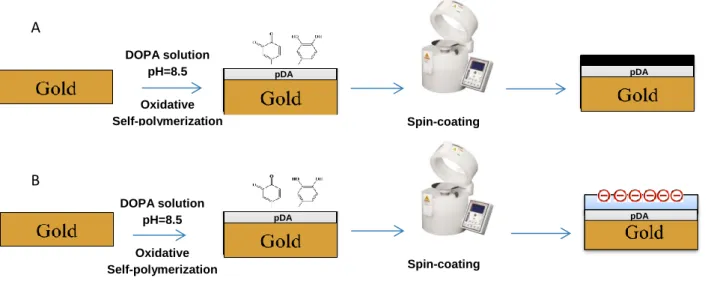 Fig. 4: Squematic representation of the steps involved in the production of PU and RPS ultrathin coating films