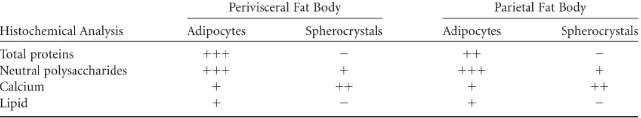 Figure 1. A,B: Histological sections of R. padbergi’s perivisceral fat body stained with hematoxylin-eosin