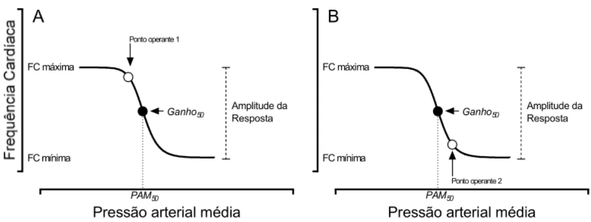 Figura 2), posicionado em valores de PAM maiores que o valor de PAM 50  da curva indica que  o  barorreflexo  em  questão  é  primariamente  responsivo  a  eventos  de  hipotensão  do  que  de  hipertensão