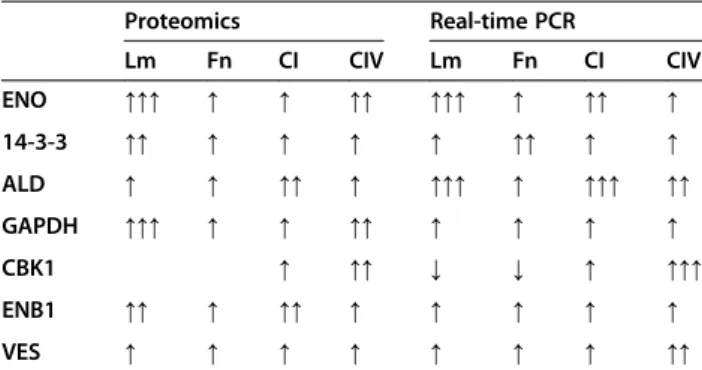 Table 2 In silico analysis of sequenced putative proteins using the software FaaPred