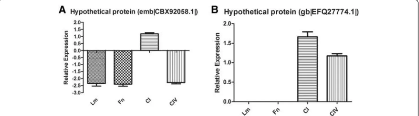 Figure 10 Quantification of predicted adhesins differentially expressed without Cu in contact with the different ECM components using Real Time PCR