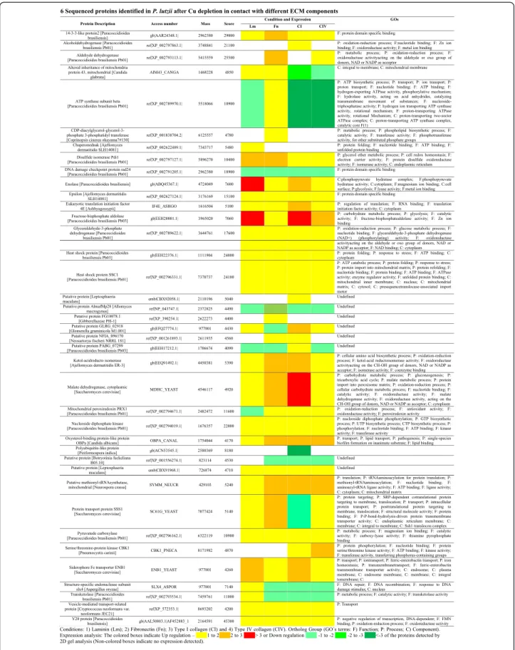 Figure 6 Sequenced proteins identified in P. lutzii after Cu depletion in contact with different ECM components.
